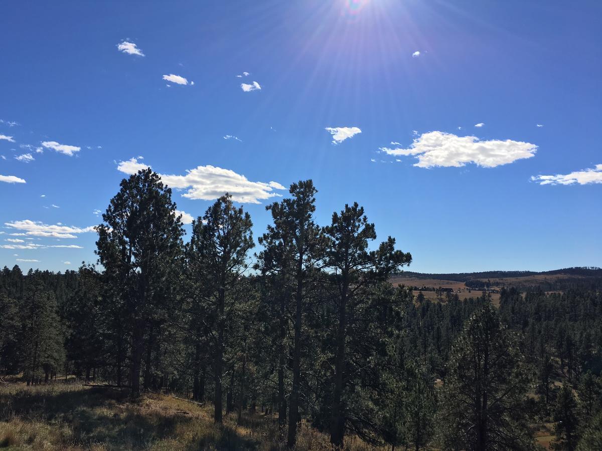 Priceless Black Hills View Rapid City Exterior foto